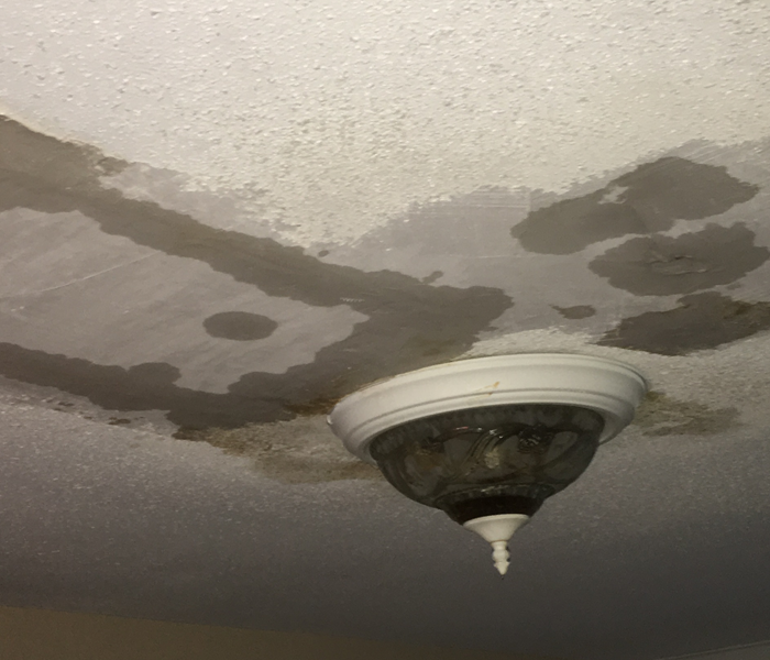 Ceiling with light fixture that has several patches of wet ceiling drywall