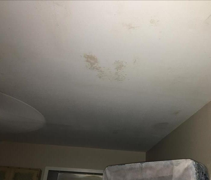 White ceiling with brown water spot due to storm damage