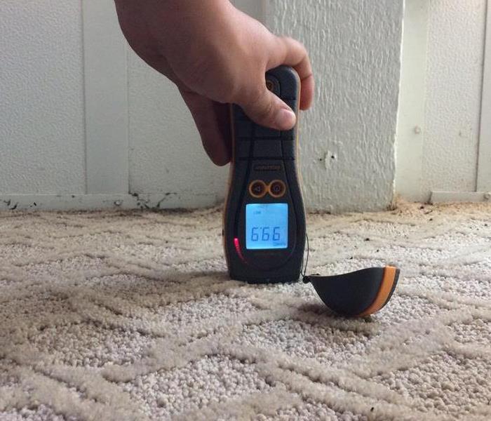 Moisture meter showing carpet saturated at 99.9 points