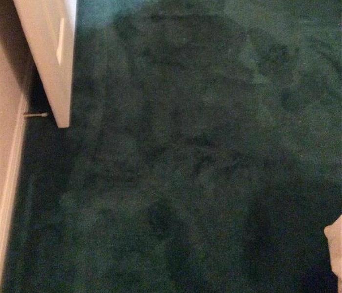 Blue carpet with water saturating it
