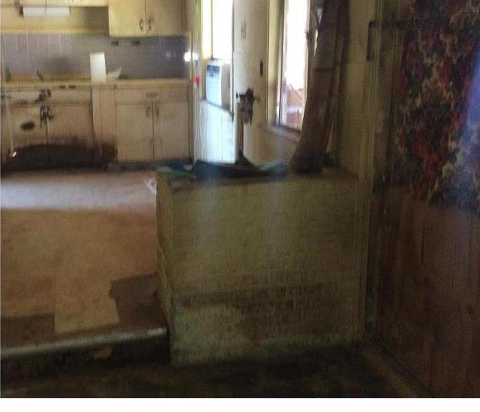 Kitchen with microbial growth on the walls and flooring