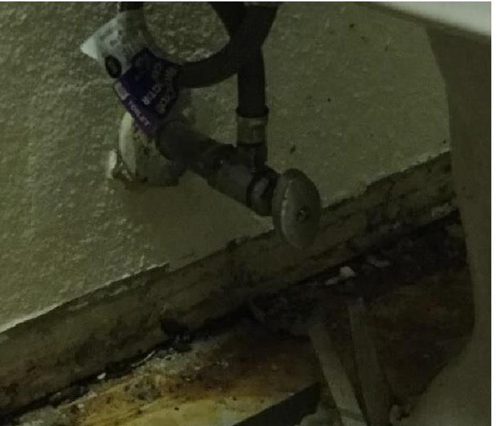 Mold on a wall under a toilet valve
