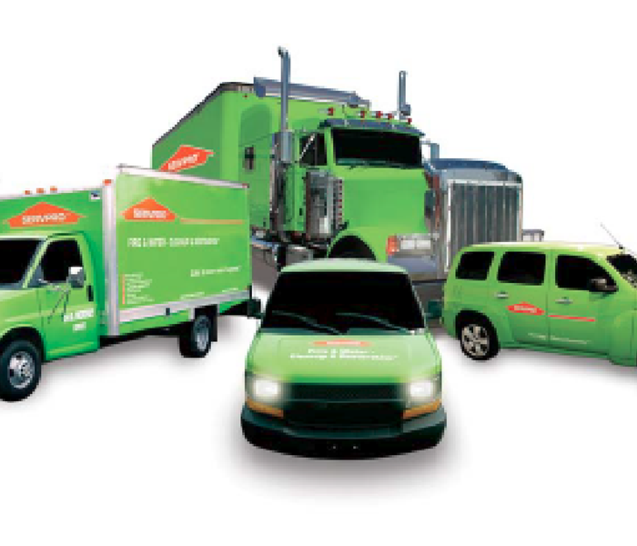 Four green SERVPRO fleet vehicles