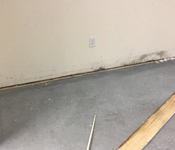 Floor with the baseboard removed showing mold on the wall